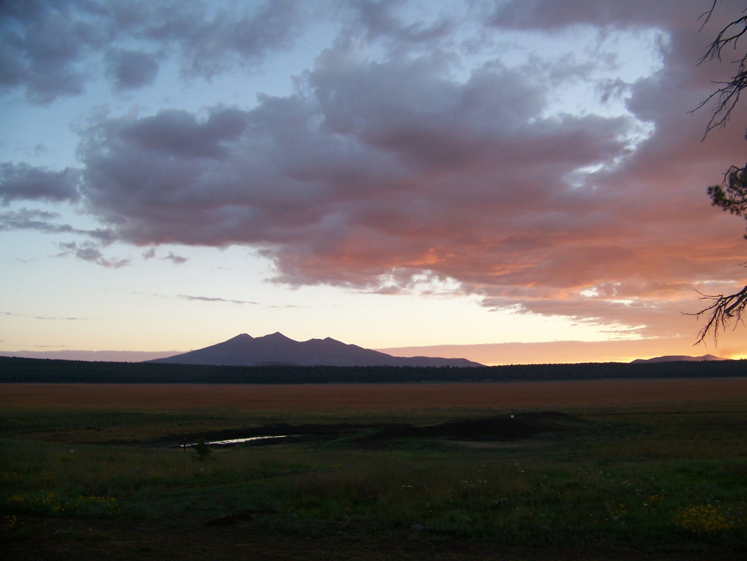 Northern Arizona Wildlife at Roger’s Lake