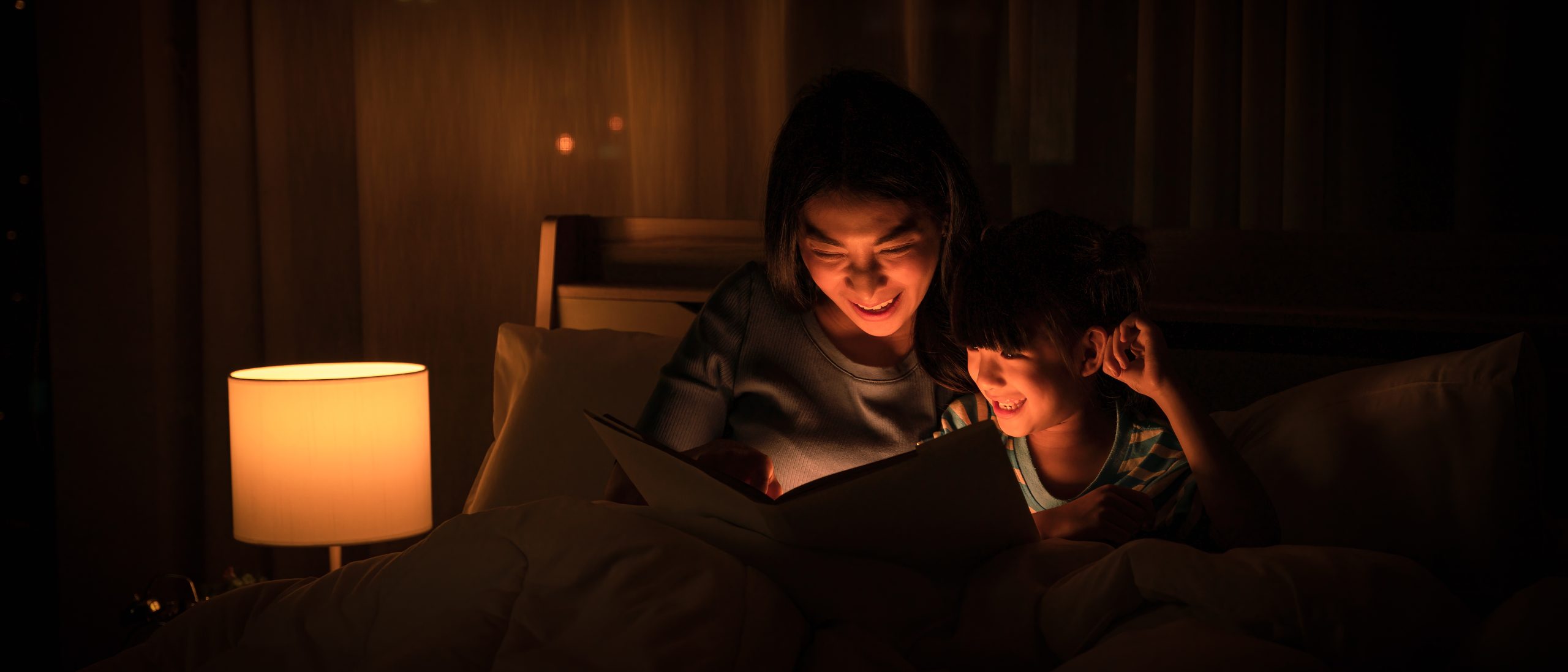 Festival Insights: 2025 Bedtime Stories