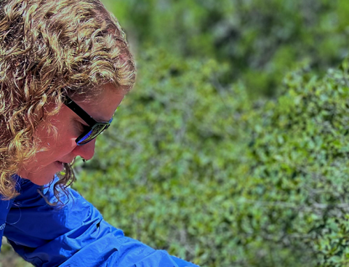 Ecologist Clare Aslan Studies How Nature’s Connections Shape a Changing World