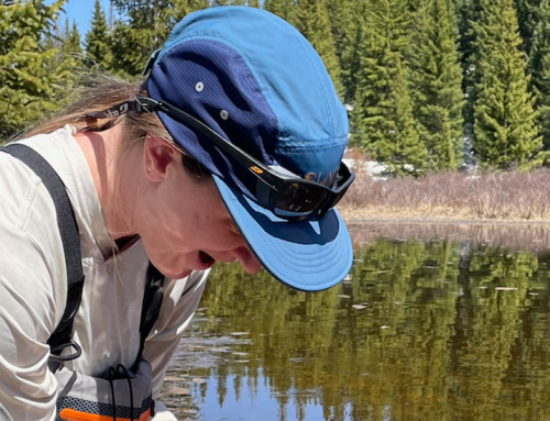 Evolutionary Biology Professor Anne Chambers Uses Genomics to Uncover the Forces Shaping Biodiversity