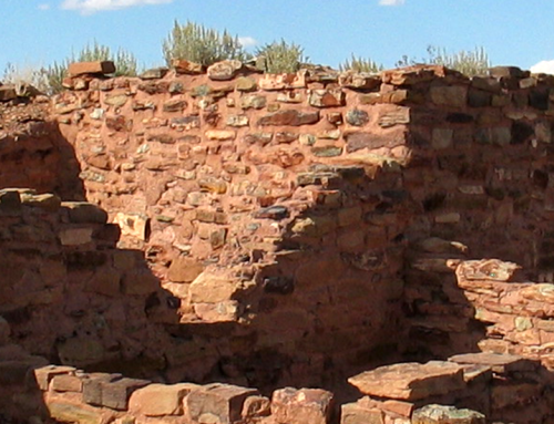 Homolovi Petroglyph Guided Tour